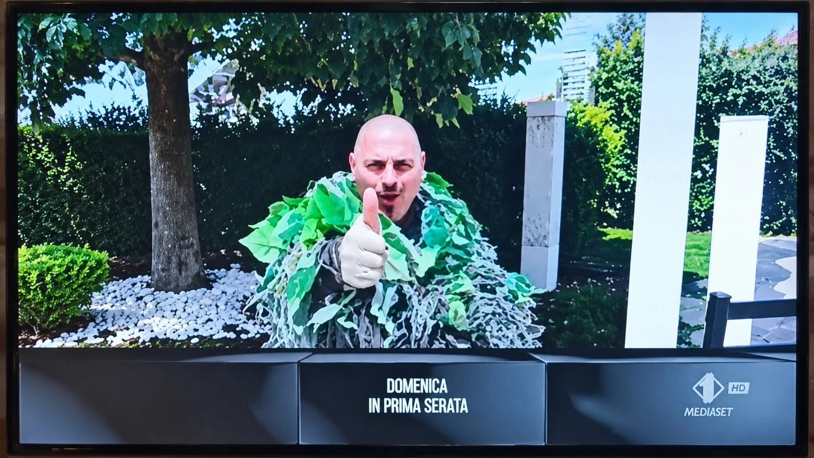 Fake Tree Prank - L'influenzato